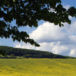 1A-FeWo-Sturm-Banner